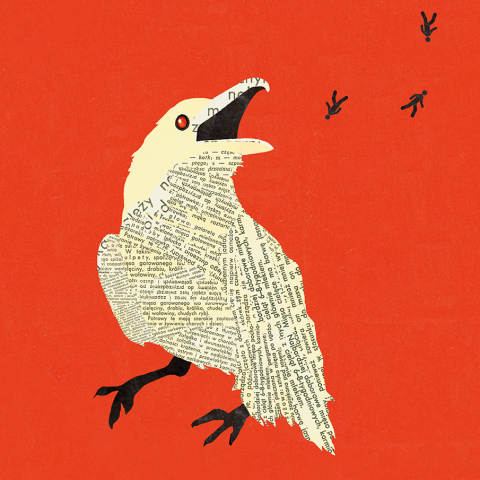 Illustration