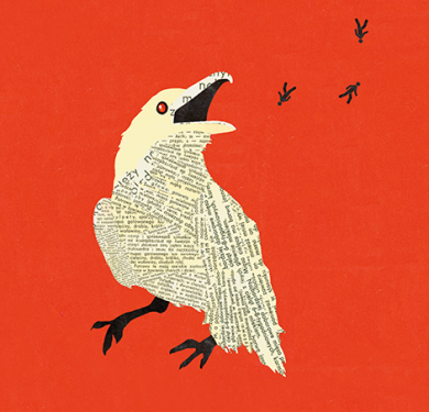 Illustration